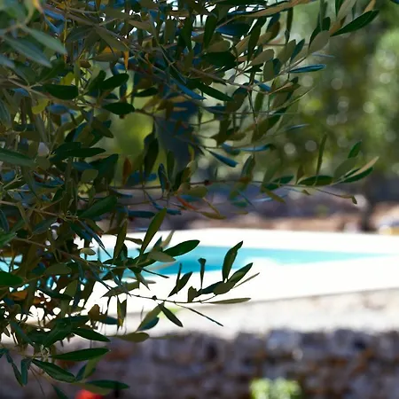 Villa Sant'anna *
